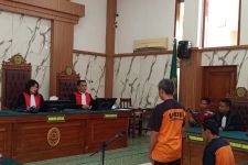 3 Terdakwa Kasus Ladang Ganja Lumajang Divonis 20 Tahun Penjara - JPNN.com
