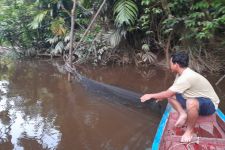 Nasib Sungai Sambas di tengah Hegemoni Perkebunan Sawit - JPNN.com Jogja