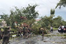 Hujan dan Angin Kencang di Surabaya Akibatkan Pohon Tumbang & Atap Berterbangan - JPNN.com Jatim