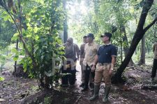 Pemkot Depok Bakal Merevitalisasi Tahura Cagar Alam - JPNN.com Jabar