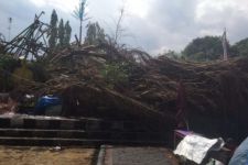 Lihat, Pohon Beringin Raksasa di Lapangan Denggung Tumbang Menimpa Wahana Bermain - JPNN.com Jogja