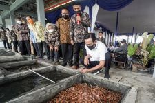 Ada Pasar Ikan Baru di Cangkringan, Diresmikan Sultan HB X - JPNN.com Jogja