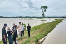 Ratusan Hektare Sawah di Kulon Progo Terendam Banjir, Ini Sebabnya - JPNN.com Jogja