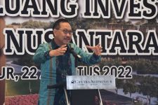 Sosialisasikan Peluang Usaha di IKN Nusantara, Badan Otorita Gandeng Kadin - JPNN.com Kaltim