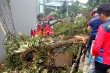 Kuli Bangunan Tewas Tertimpa Pohon di Samarinda, Begini Kronologinya - JPNN.com Kaltim