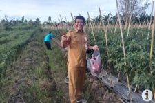 Paser Siapkan Lahan Tanaman Hortikultura 700 Hektare untuk Memasok Kebutuhan IKN - JPNN.com Kaltim