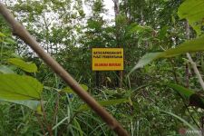 Tahap Pertama, Bebaskan Lahan 348,82 Hektare untuk IKN Nusantara - JPNN.com Kaltim