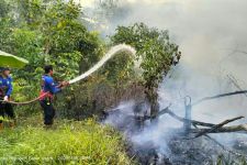 Kebakaran Lahan di Bangun Mulya dan Petung Berhasil Dipadamkan - JPNN.com Kaltim