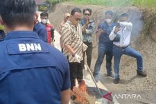 Musnahkan Ganja dan Sabu-sabu Sebanyak Ini, BNNP Kaltim Beri Penegasan Begini - JPNN.com Kaltim