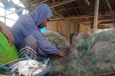 Harga Kepiting Rajungan Naik, Nelayan Sebut Ini Keberkahan - JPNN.com Lampung