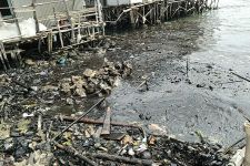 WALHI Minta Pemerintah Usut Pencemaran Limbah di Pesisir Rawa Laut Bandar Lampung - JPNN.com Lampung
