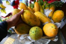 Waspada Omicron, Cegah dengan Konsumsi Makanan Ini - JPNN.com Lampung