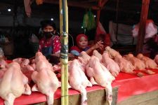 Jelang Hari Raya Idulfitri, Harga Ayam Potong Naik, Ibu-ibu Menjerit - JPNN.com Lampung