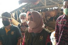 Jelang Iduladha, Sejumlah Hewan Ternak di Bandar Lampung Diperiksa - JPNN.com Lampung