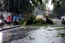 Prakiraan Cuaca di Lampung Selasa 26 Juli 2022, Waspada Hujan Lebat dan Angin Kencang - JPNN.com Lampung