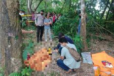 Warga Digegerkan Penemuan Mayat Perempuan di Kebun Karet, Luka Gorok di Bagian Leher, Ngeri  - JPNN.com Lampung