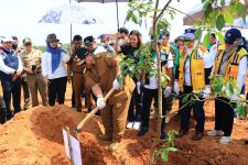 Gubernur Arinal Menanam Pohon di Bendungan Margatiga Lampung Timur - JPNN.com Lampung
