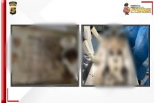 Polda Lampung Autopsi Mayat Sekeluarga yang Dimasukkan ke Dalam Septic Tank, Ini Hasilnya  - JPNN.com Lampung