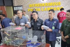 Polisi Kembali Menggagalkan Penyelundupan Satwa Liar di Lampung Selatan  - JPNN.com Lampung