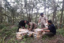 Ratusan Burung Selundupan Akhirnya Dapat Diselamatkan  - JPNN.com Lampung