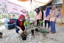 Bantu Perekonomian Warga, Mak Ganjar Lampung Bagikan 100 Bibit Kakao - JPNN.com Lampung