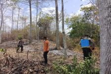 Tiga Pekon Lahan Perkebunan di Tanggamus Lampung Dilalap Si Jago Merah  - JPNN.com Lampung