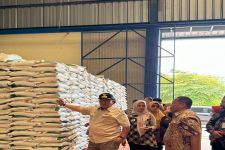 KPPU Ungkap Terjadinya Kelangkaan Beras di Lampung - JPNN.com Lampung