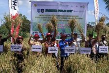 Petani Lombok Tengah Kerap Gagal Panen, Ini Solusinya - JPNN.com NTB