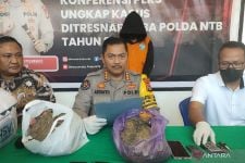 1,7 Kilogram Ganja Kering dari Lampung Nyaris Beredar di Lombok - JPNN.com NTB