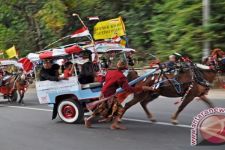 Naik Cidomo di Lombok Sambil Mengenal Kuda - JPNN.com NTB