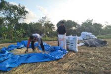 Bupati Lombok Tengah Tekankan Peran Penyuluh dalam Produksi Pertanian - JPNN.com NTB