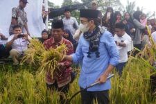 Terbaru dari TGB Zainul Majdi! Peta NWDI Lombok Lakukan Tindakan Mulia - JPNN.com NTB