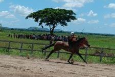 Meriahkan HUT NTB ke-64, 214 Kuda Ikut Bertanding di Lombok Tengah - JPNN.com NTB