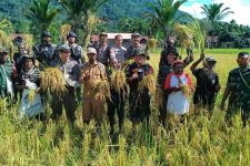 TNI Dorong Terwujudnya Ketahanan Pangan di Papua, Begini Caranya - JPNN.com Papua