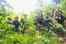 Prajurit TNI AD Temukan 5 Hektare Ganja di Papua, Brigjen Tatang Bilang Begini - JPNN.com Papua