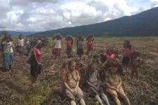 Warga Lanny Jaya Papua Terancam Kelaparan Akibat Cuaca Ekstrem, Mohon Bantuannya - JPNN.com Papua