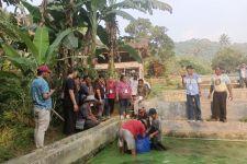 Tingkatkan Potensi Lokal, 12 Warga Puncak Papua Ikuti Pelatihan Budi Daya Ikan Lele di Bogor - JPNN.com Papua