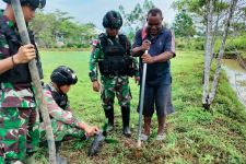 Jelang HUT RI, Satgas TNI Melestarikan Tanaman Khas Papua - JPNN.com Papua