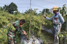 Ciptakan Kemanunggalan TNI-Rakyat, Babinsa di Timika Lakukan Ini - JPNN.com Papua