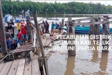 Pemerintah Perlu Segera Mengaudit SKK Migas dan BP Tangguh di Bintuni Papua Barat - JPNN.com Papua