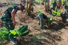Satgas Yonif 143/TWEJ Membuka Kebun Bersama Demi Wujudkan Ketahanan Pangan di Papua - JPNN.com Papua