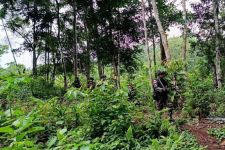 Satgas Yonif 122/TS Pos Kout Intensifkan Patroli di Jalan Tikus Perbatasan RI-PNG - JPNN.com Papua
