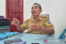 Berita Terbaru dari Manokwari Soal Wabah Virus ASF - JPNN.com Papua
