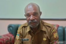Dinas Pertanian Kota Jayapura Imbau Warga Konsumsi Pangan Lokal - JPNN.com Papua