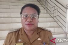 Pemkab Jayapura Kirim Biji Kakao ke Bali 10 Ton Per Bulan - JPNN.com Papua