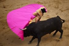 Demi Hak Binatang, Tradisi Matador Mulai Dilarang - JPNN.com