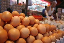 Kalbar Siapkan Bazar 30 Ribu Ton Telur - JPNN.com