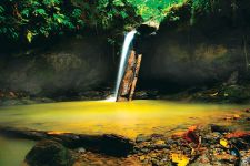 Potensi Taman Wisata Alam Km 14, Sorong - JPNN.com