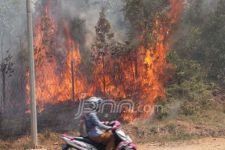 GAWAT: Dua Provinsi di Indonesia Timur Ini Muncul Titik Api - JPNN.com