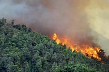 Hutan dan Lahan Terbakar, yang Memberi Izin Kok Bungkam? - JPNN.com